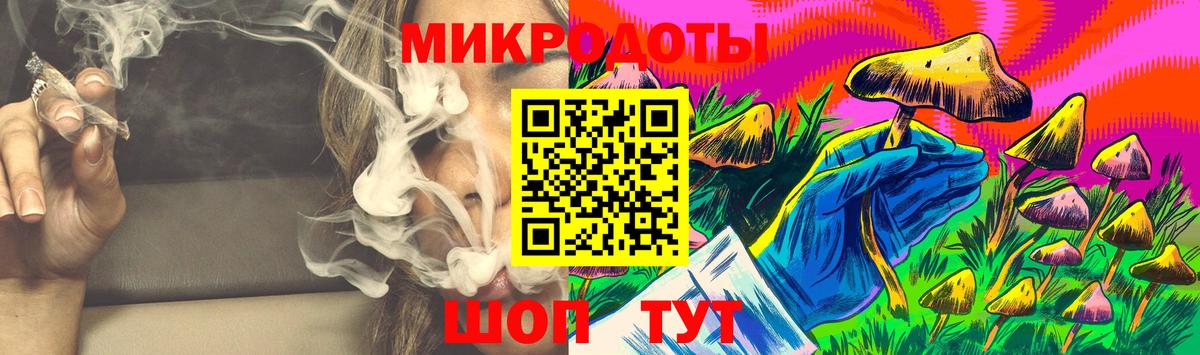 Галлюциногенные грибы Psilocybe Псков