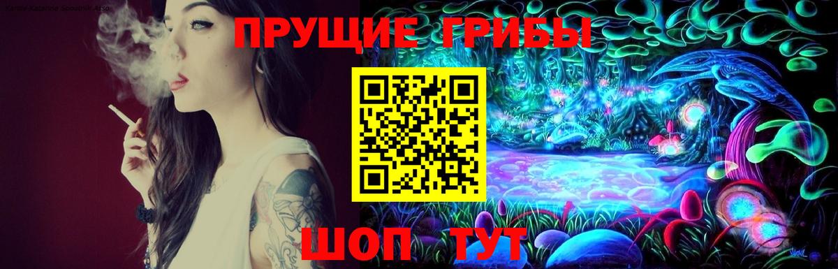 Псков  Псилоцибиновые грибы ЛСД  сколько стоит  Вход с VPN 